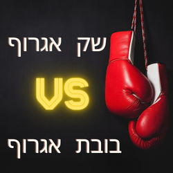 שק או בובת איגרוף? בואו לגלות